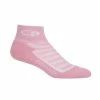 Chaussettes Icebreaker Femmes Run+ Light Mini - Rose 1 Chaussettes Icebreaker Femmes Run+ Light Mini - Rose -Vélos Soldes 2023 chaussettes icebreaker femmes run light mini rose